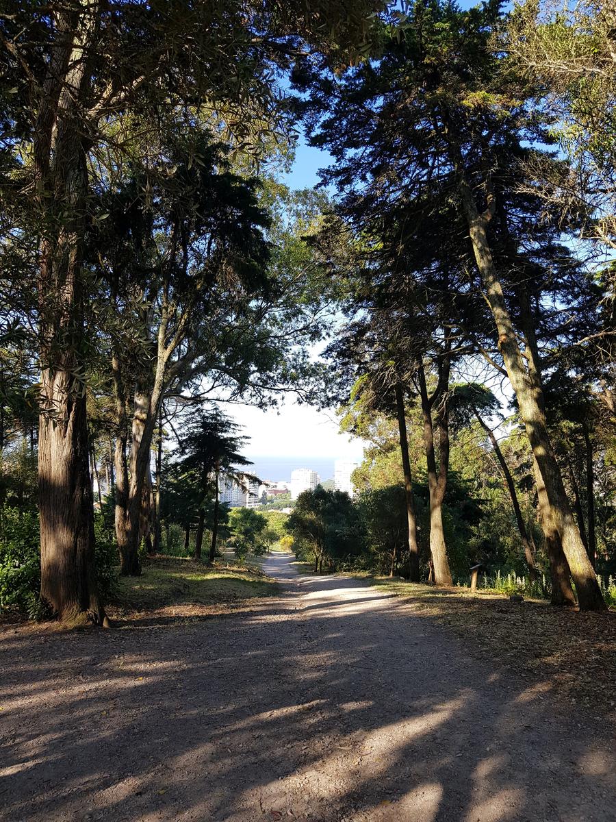 Monsanto Jardim dos Montes Claros